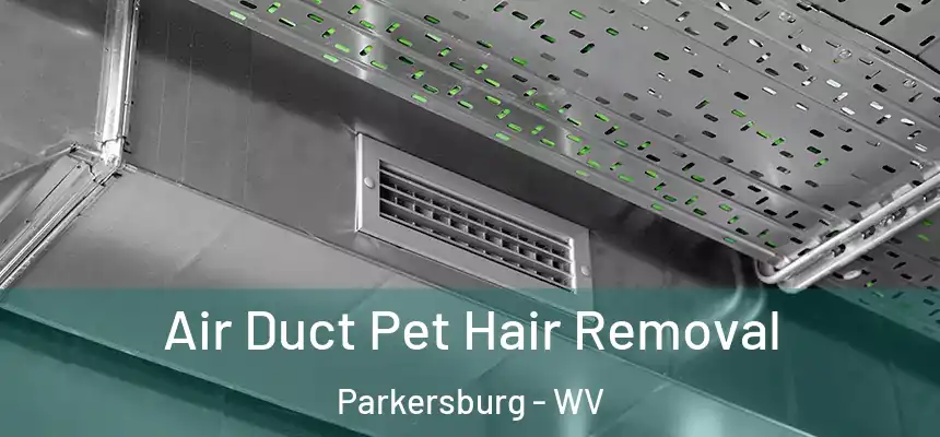  Air Duct Pet Hair Removal Parkersburg - WV
