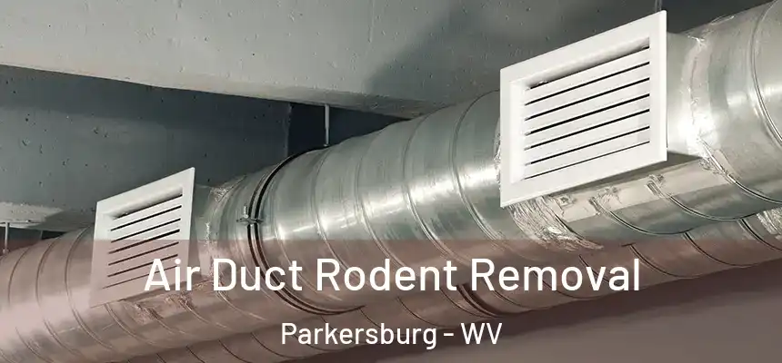  Air Duct Rodent Removal Parkersburg - WV