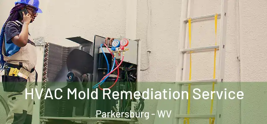  HVAC Mold Remediation Service Parkersburg - WV