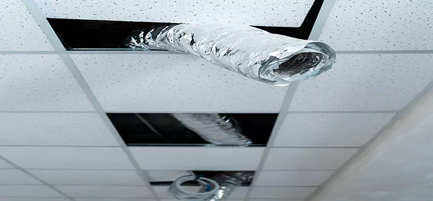 Affordable HVAC Sanitizing After Pest Removal in Parkersburg