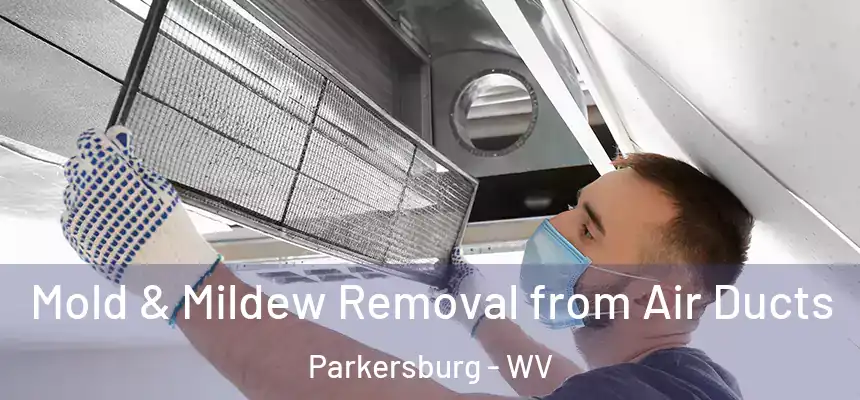  Mold & Mildew Removal from Air Ducts Parkersburg - WV