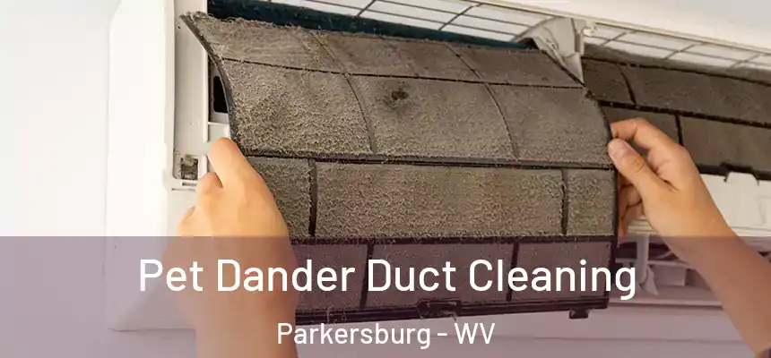 Pet Dander Duct Cleaning Parkersburg - WV