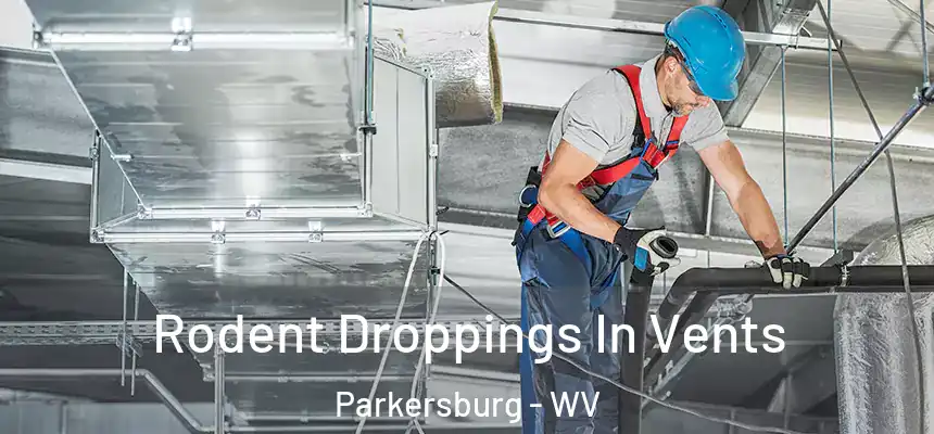  Rodent Droppings In Vents Parkersburg - WV