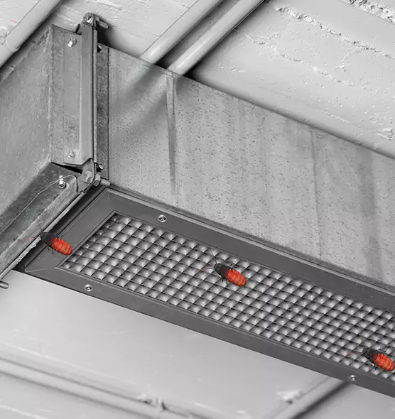 About Air Duct Cockroach Removal in Parkersburg, WV