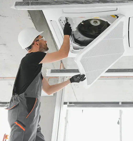 About Air Duct Rodent Removal in Parkersburg, WV