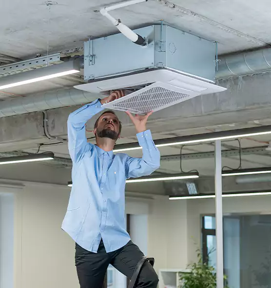 Advanced Rodent Droppings In Vents in Parkersburg, WV