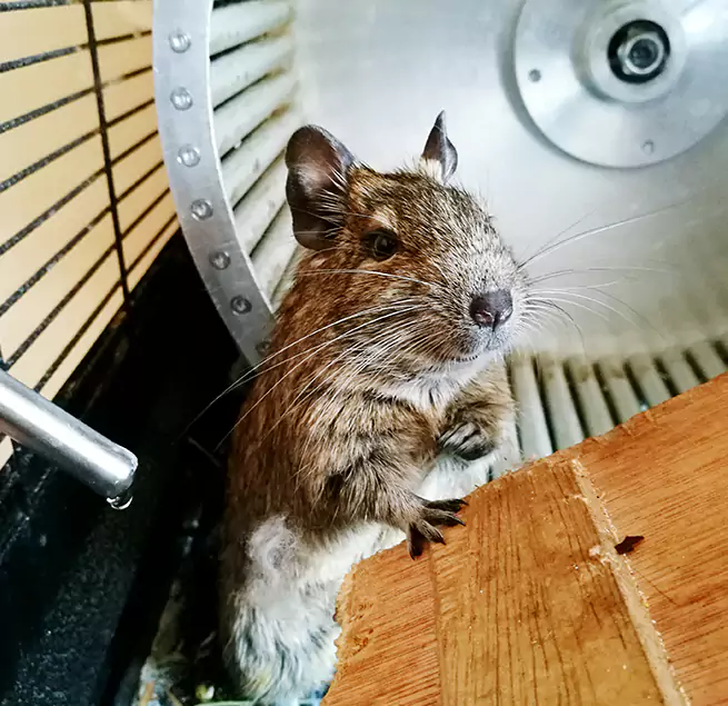 Why Homeowners & Businesses Trust Us Parkersburg, WV?